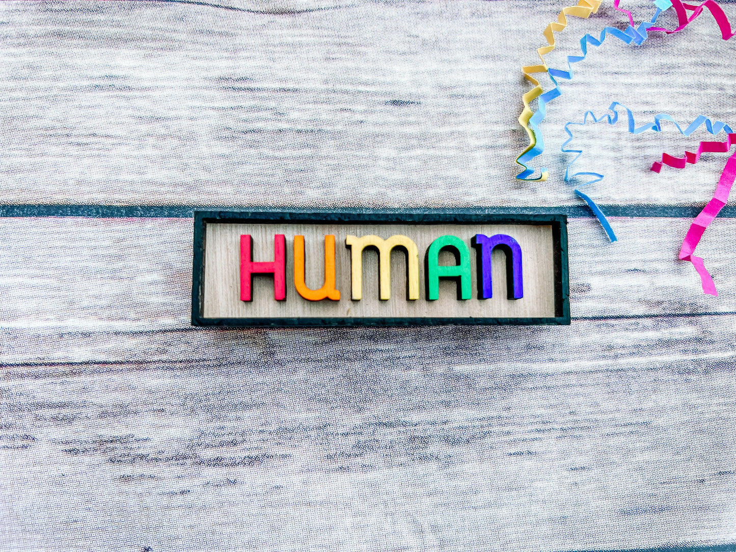 HUMAN Magnetic Pride Pin