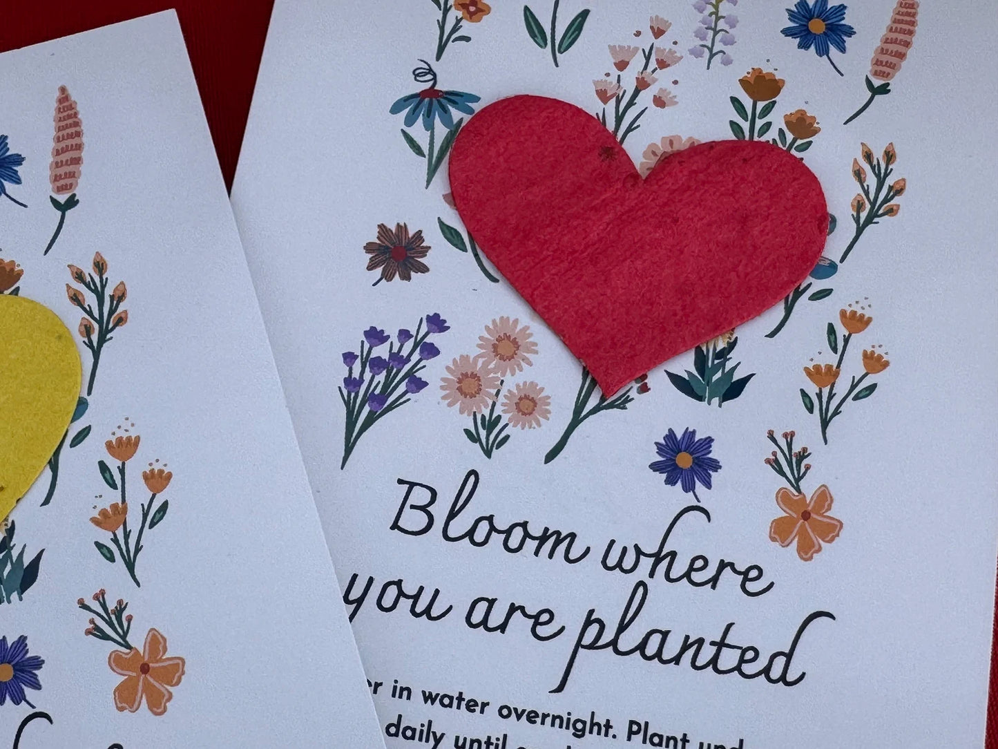 Wildflower Seed Paper Heart Inspirational Postcards, Pack of 8