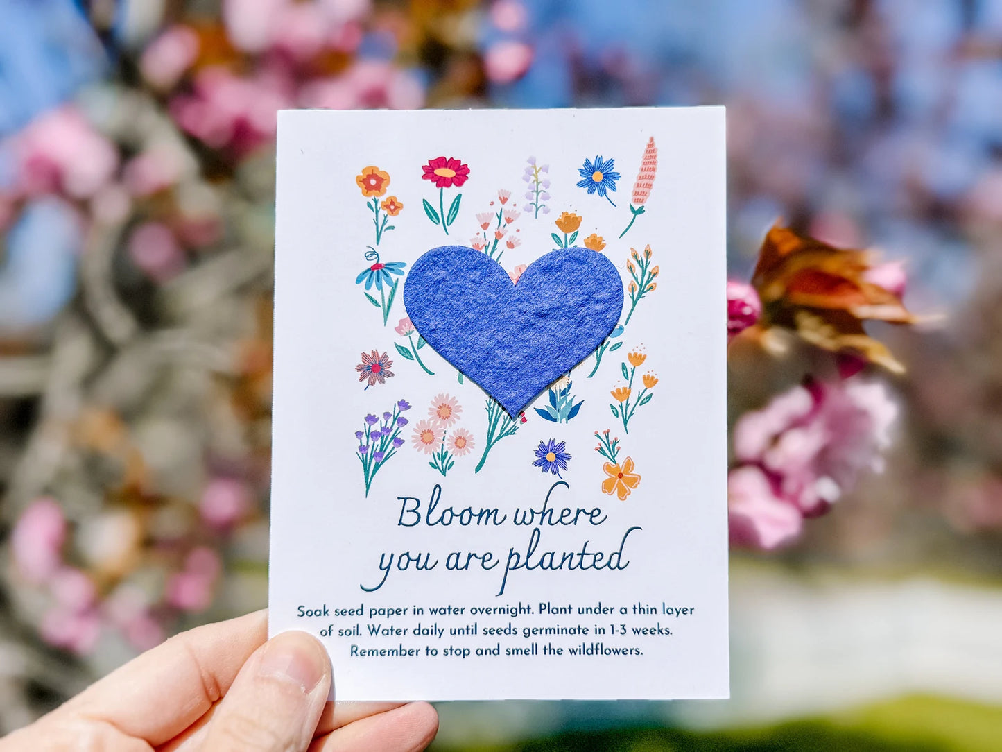 Wildflower Seed Paper Heart Inspirational Postcards, Pack of 8